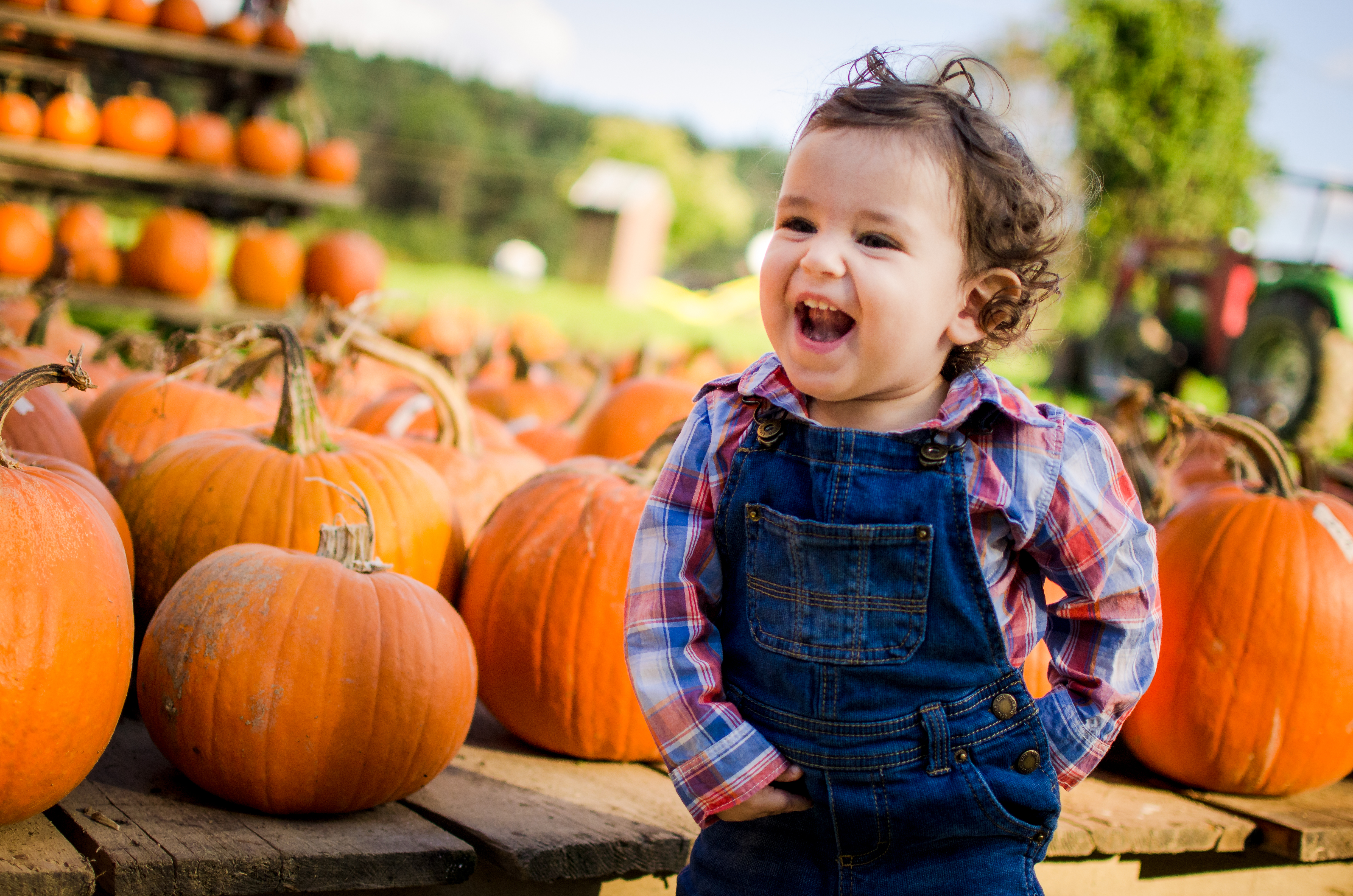 Pumpkin Farm Fun