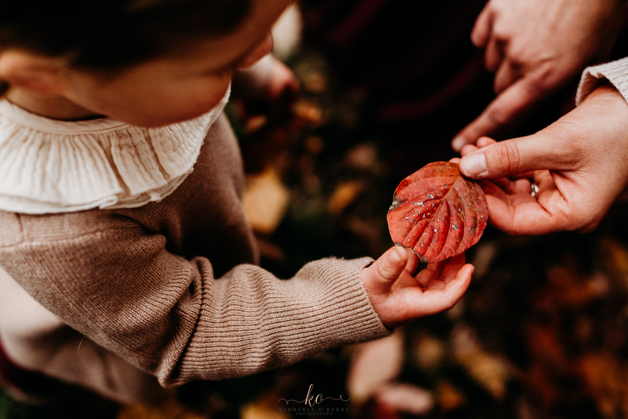 {Sweitzer Family | Smithville Park, NJ | Emotive Storytelling Photography}